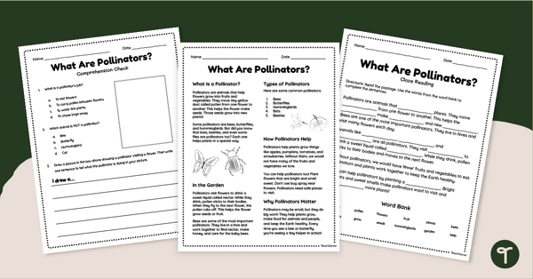 Go to What Are Pollinators? Year 2 Comprehension Worksheet Pack teaching resource