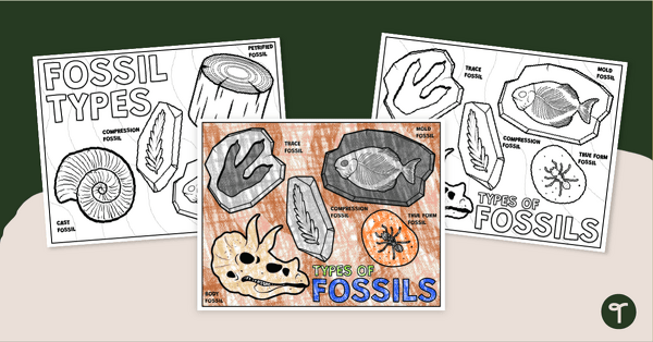 Go to Fossil Coloring Pages teaching resource