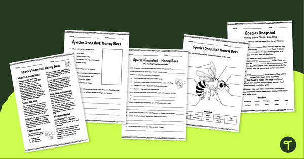 Go to Helpful Honey Bees Worksheet Pack - Year 2 Comprehension teaching resource