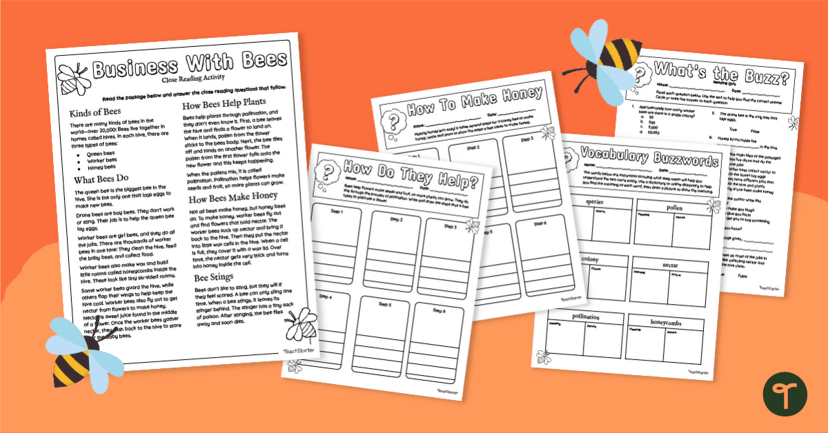 Printable Worksheets About Bees - 2nd Grade teaching resource
