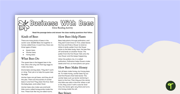 Printable Worksheets About Bees - Year 2-3 Comprehension teaching resource