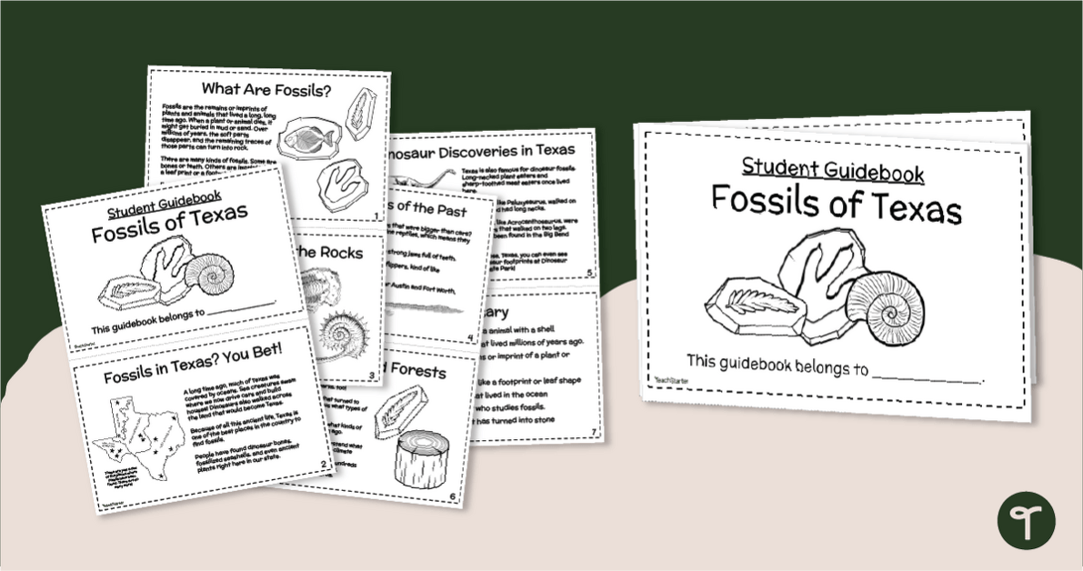 Texas Fossils Guidebook for Kids - Mini Book teaching resource