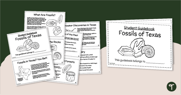 Go to Texas Fossils Guidebook for Kids - Mini Book teaching resource