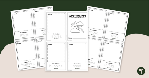 Go to The Wind Blew - Printable Science Booklet teaching resource