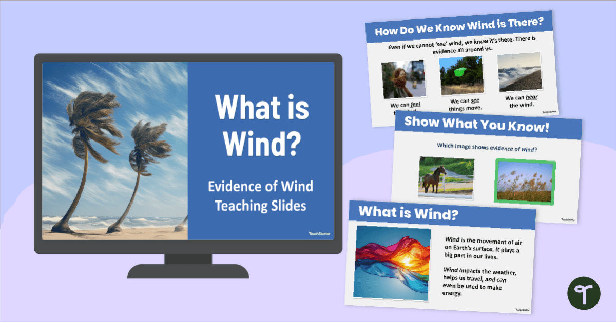 Evidence of Wind PowerPoint for Kindergarten teaching resource