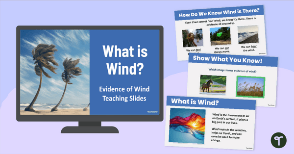 Go to Evidence of Wind PowerPoint for Kindergarten teaching resource