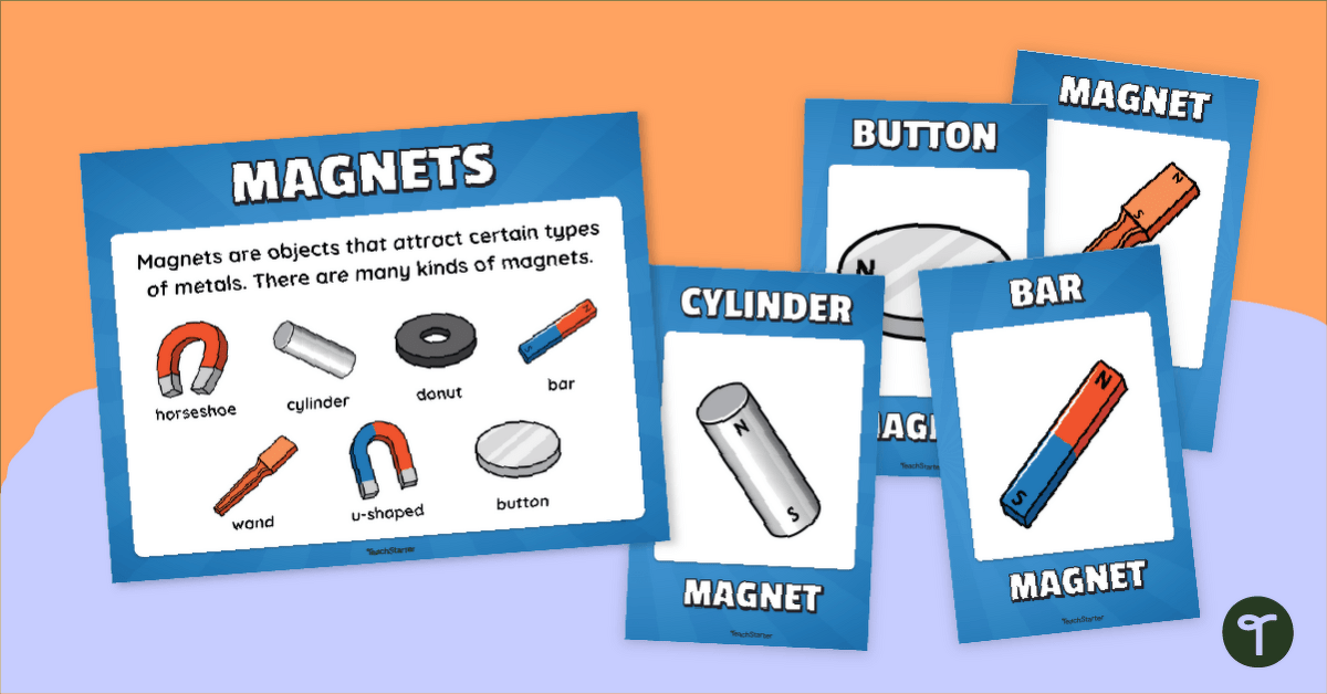 Types of Magnets Anchor Chart Pack teaching resource