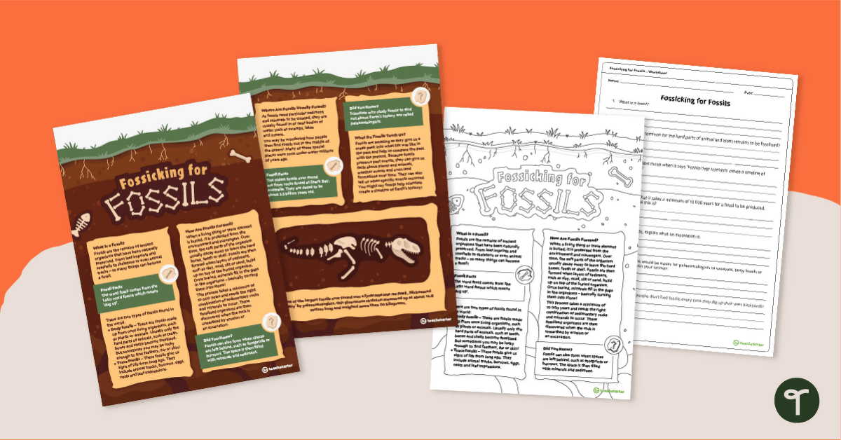 Fossicking for Fossils – Comprehension Worksheet teaching resource