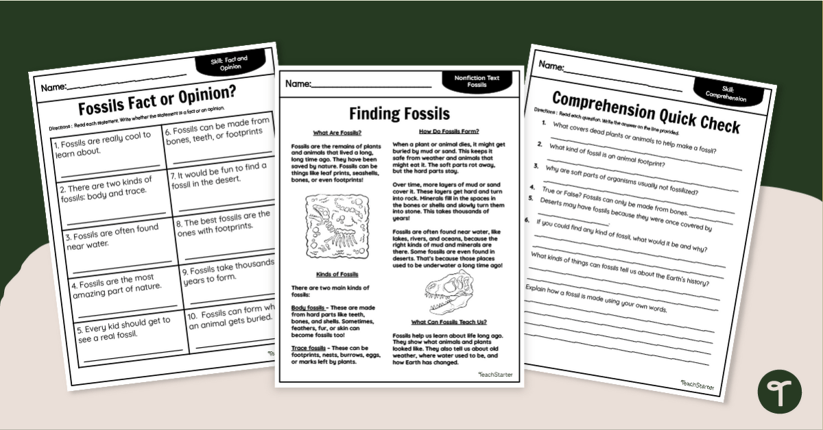 Finding Fossils - Comprehension Worksheets teaching resource