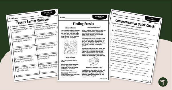 Go to Finding Fossils - Comprehension Worksheets teaching resource