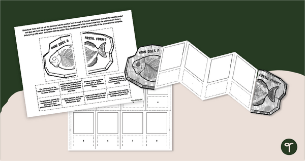 Go to Forming a Fossil - Foldable Accordion Book Template teaching resource