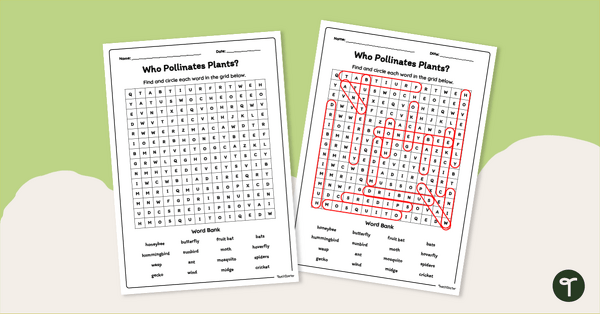 Go to Who Pollinates Plants? Word Search teaching resource