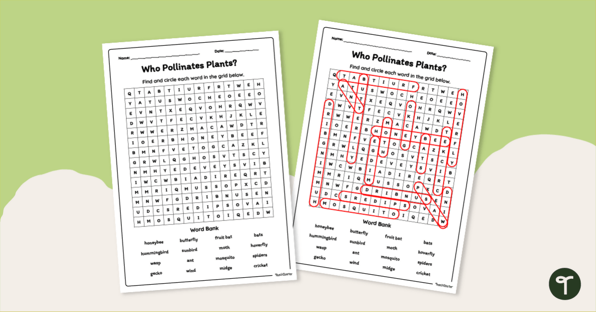 Who Pollinates Plants? Word Search teaching resource