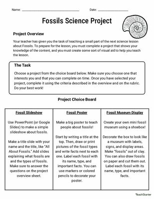 Fossils Science Project Pack teaching resource