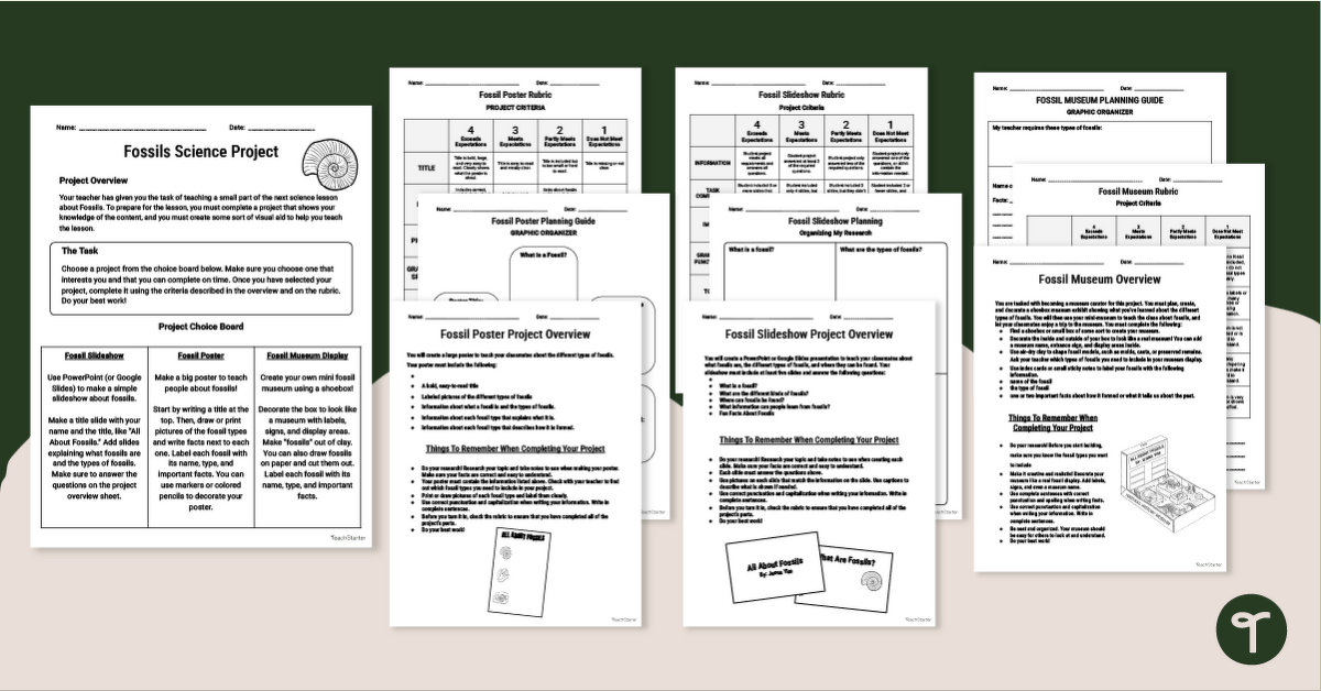 Fossils Science Project Pack teaching resource