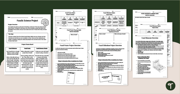 Go to Fossils Science Project Pack teaching resource