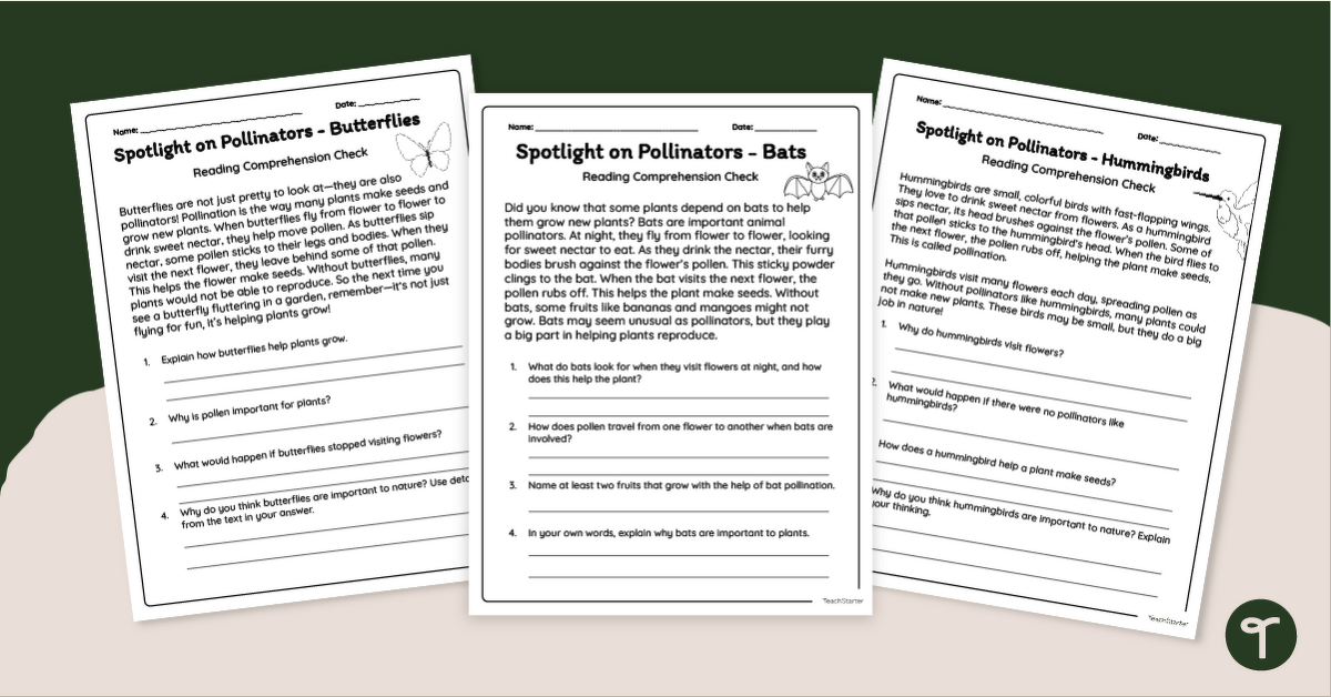 Animal Pollinators Worksheets teaching resource