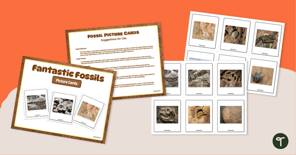 Go to Fossil Pictures - Flashcards teaching resource