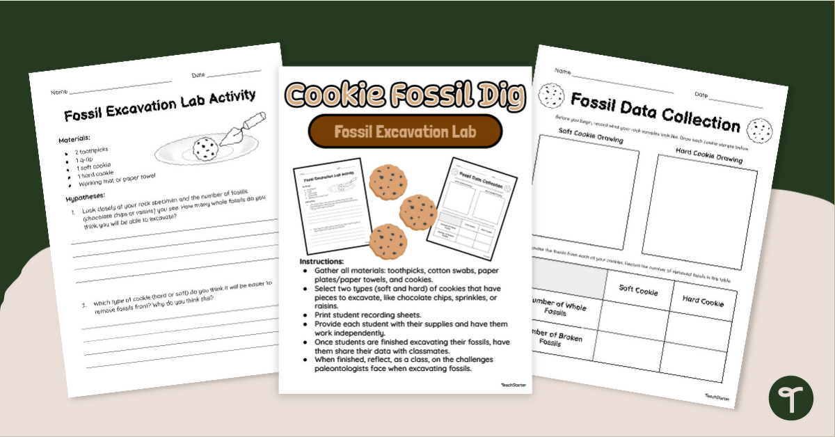 Cookie Fossil Dig Activity teaching resource