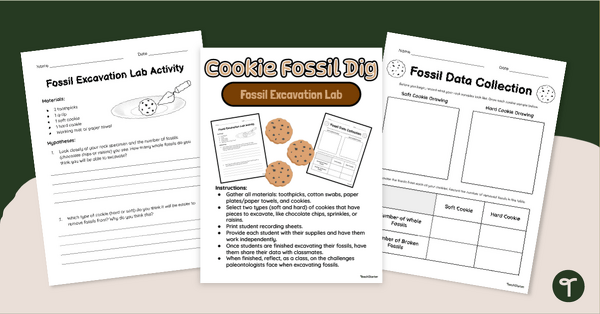 Go to Cookie Fossil Dig Activity teaching resource