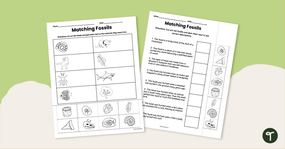 Matching Fossils Worksheet Pack teaching resource