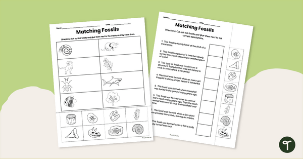 Go to Matching Fossils Worksheet Pack teaching resource