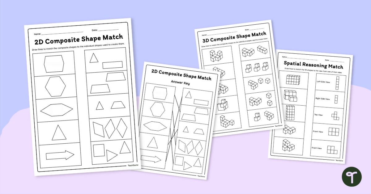 Spatial Reasoning Worksheets teaching resource