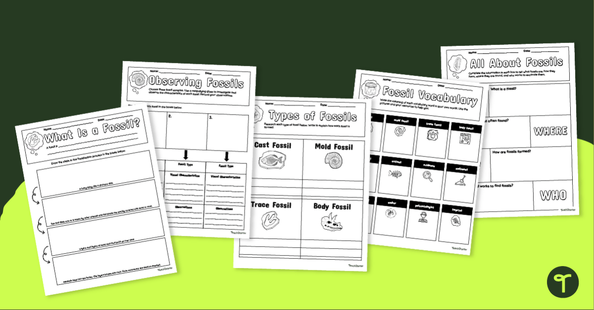 Fossil Graphic Organizer Pack teaching resource