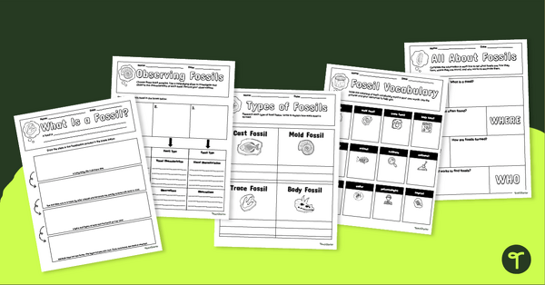Image of Fossil Graphic Organizer Pack