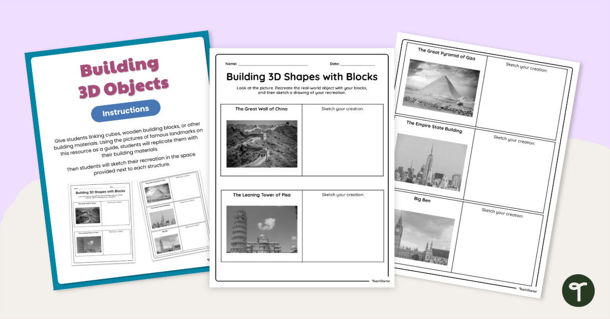 Building 3D Shapes With Blocks Activity teaching resource