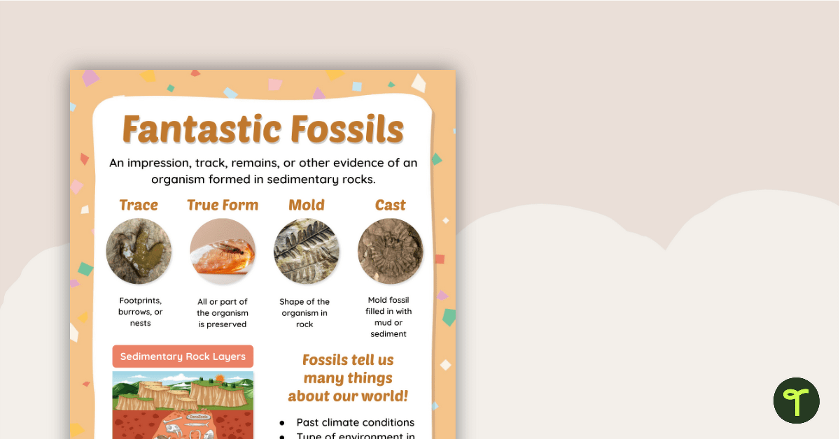 Types of Fossils Anchor Chart teaching resource