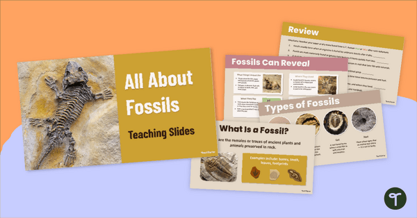 Image of All About Fossils PowerPoint