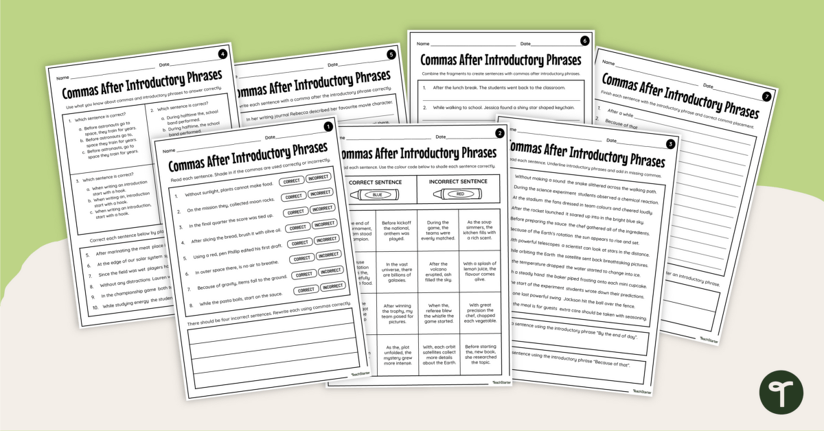 Comma After Introductory Phrase Worksheets teaching resource