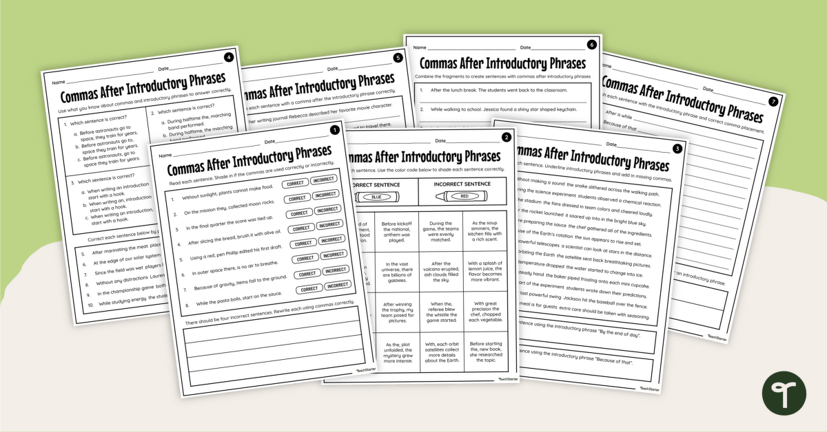 Comma After Introductory Phrase Worksheets teaching resource
