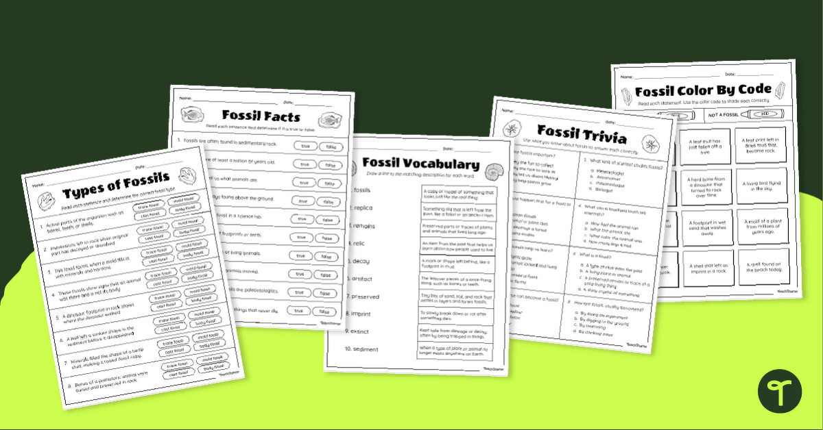 Fossil Worksheet Pack teaching resource