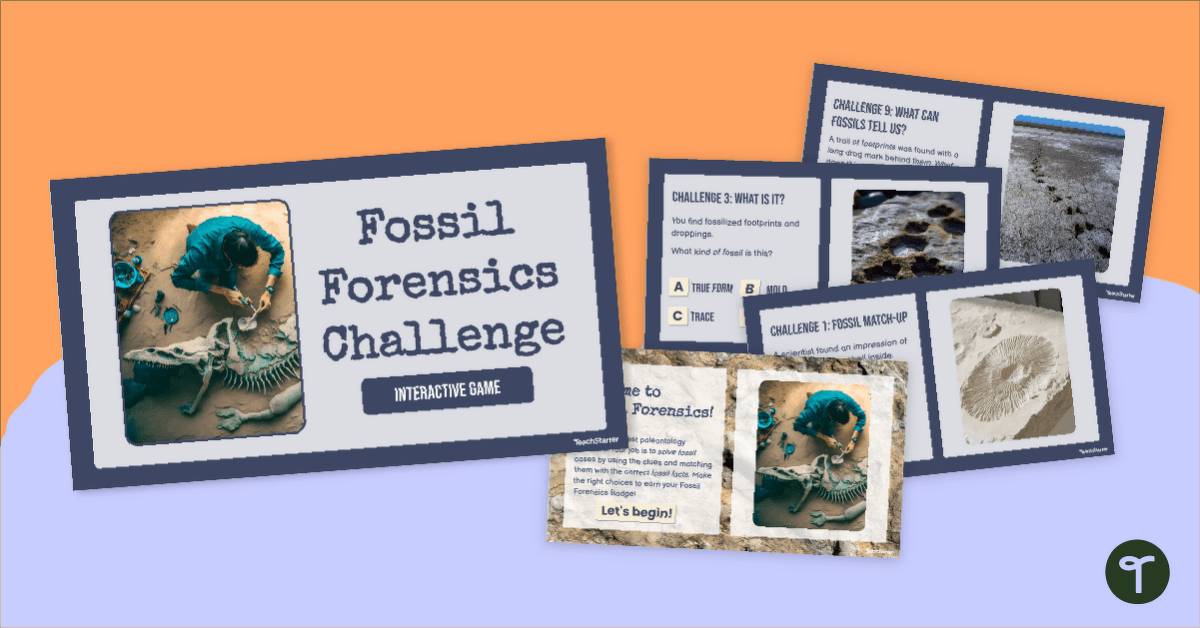 Fossil Forensics - Fossil Interactive Activity teaching resource