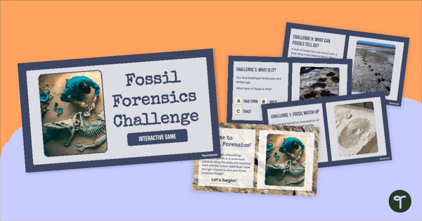 Go to Fossil Forensics - Fossil Interactive Activity teaching resource