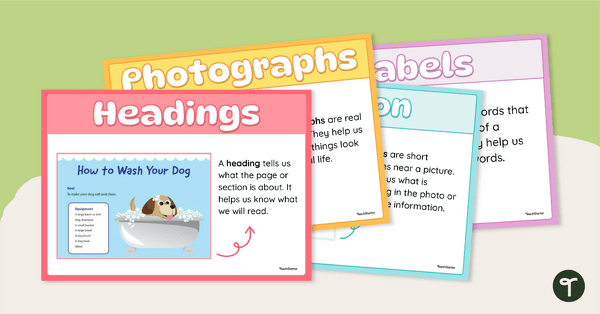Go to Non-Fiction Text Features Poster Set teaching resource