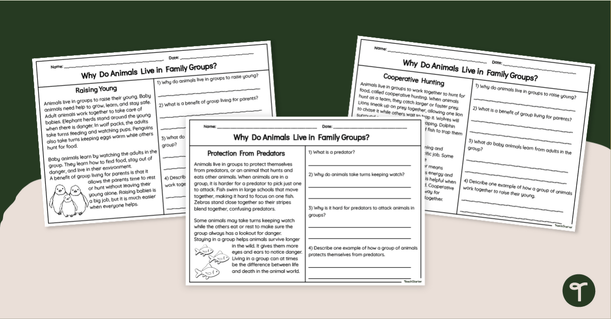 Animals That Live in Groups - Behavioural Adaptations Worksheet Pack teaching resource