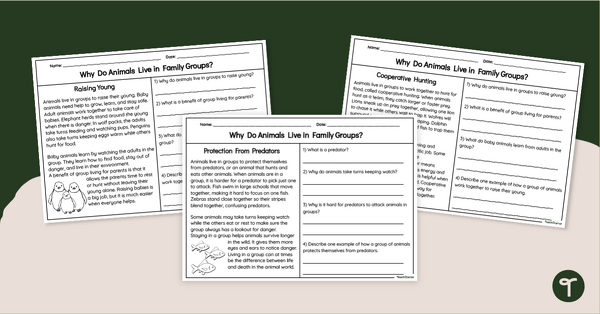 Go to Animals That Live in Groups - Behavioural Adaptations Worksheet Pack teaching resource