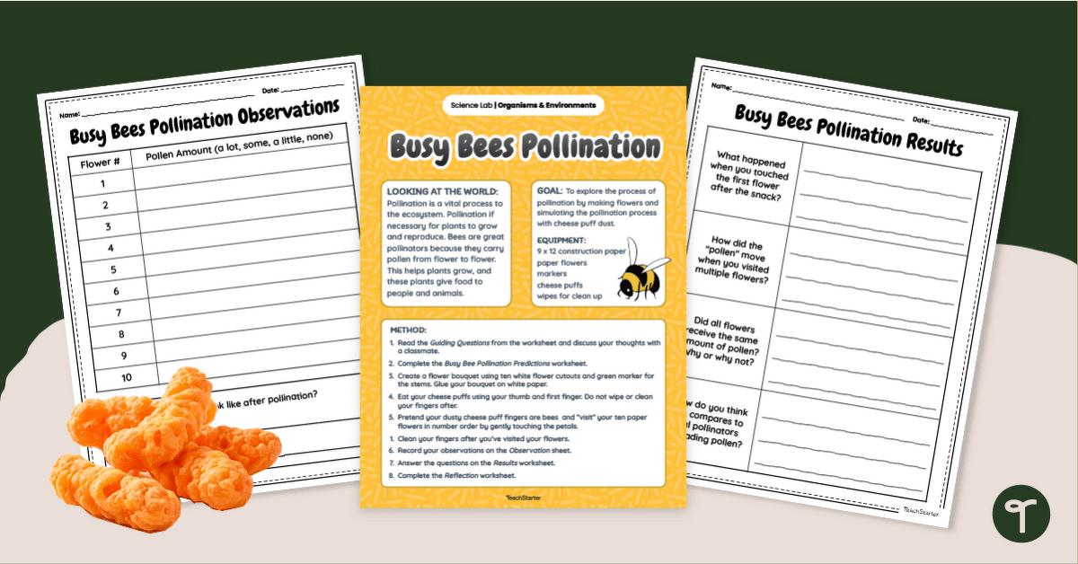Busy Bees Pollination Activity - Hands-On Science teaching resource