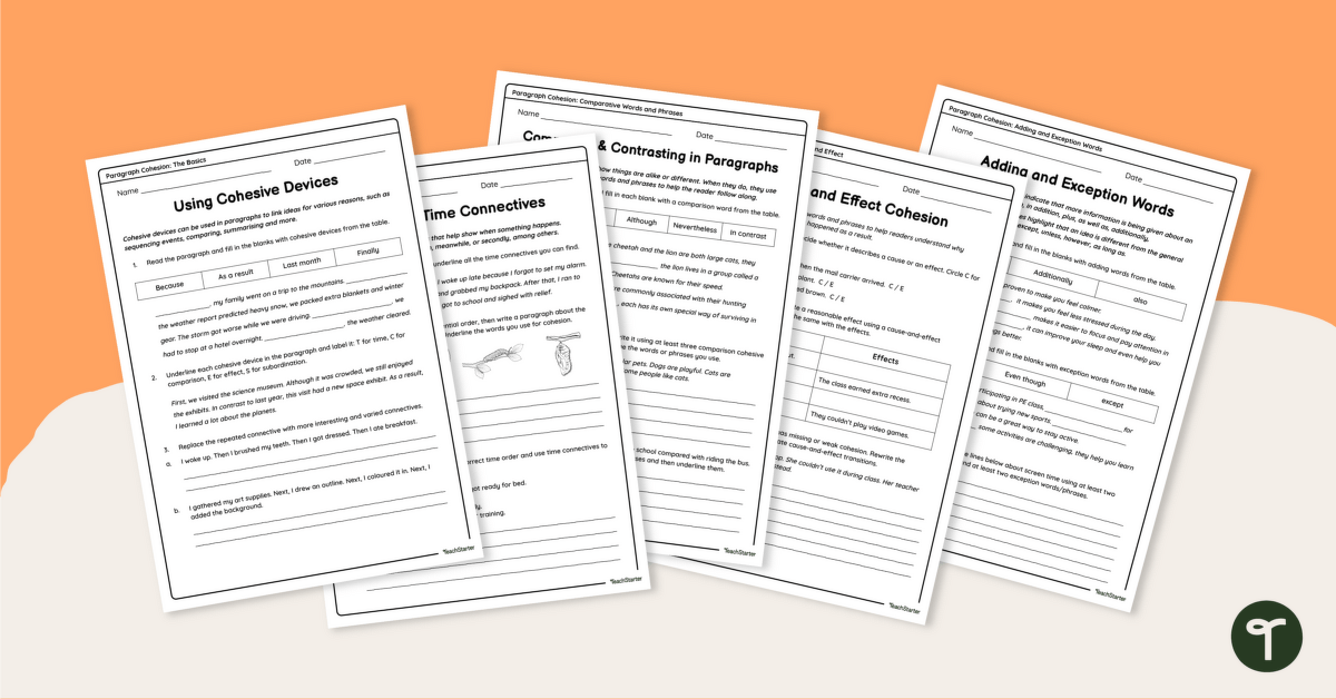 Cohesion in a Paragraph Worksheet Pack teaching resource