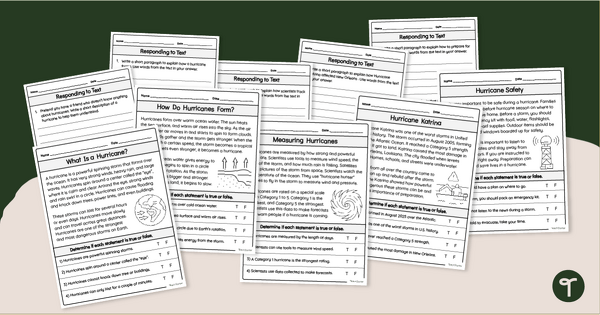 Go to Hurricane Worksheets - Reading Response Activity Pack teaching resource