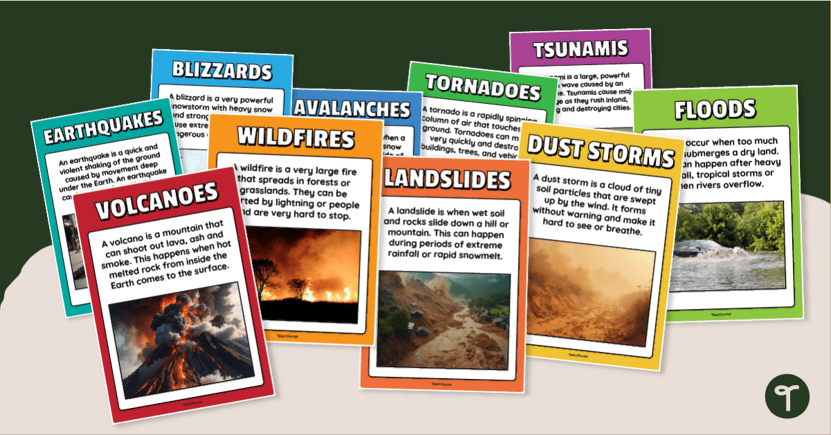 Natural Disaster Posters With Information teaching resource