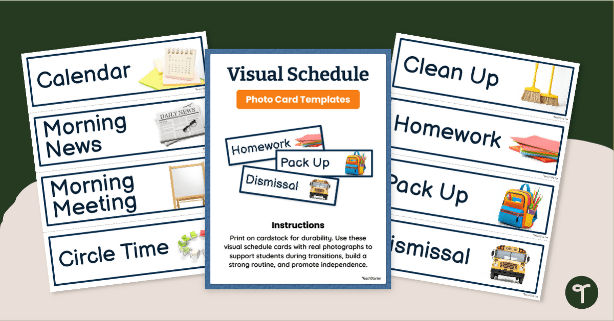 Visual Schedule Template - Display Cards teaching resource