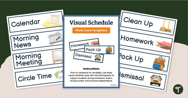 Go to Visual Schedule Template - Display Cards teaching resource