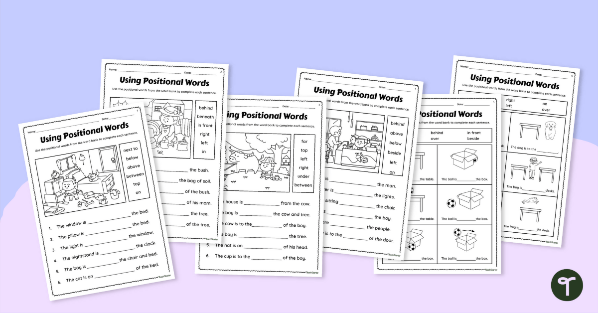 Position Worksheets teaching resource