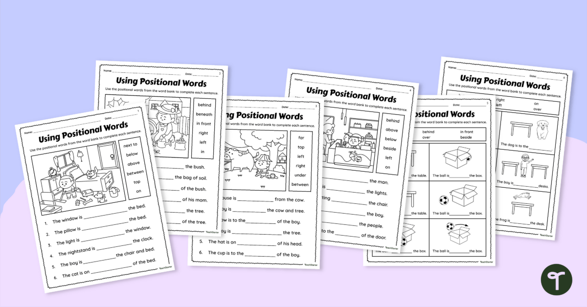 Positional Words Worksheets teaching resource