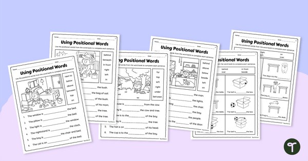 Go to Positional Words Worksheets teaching resource