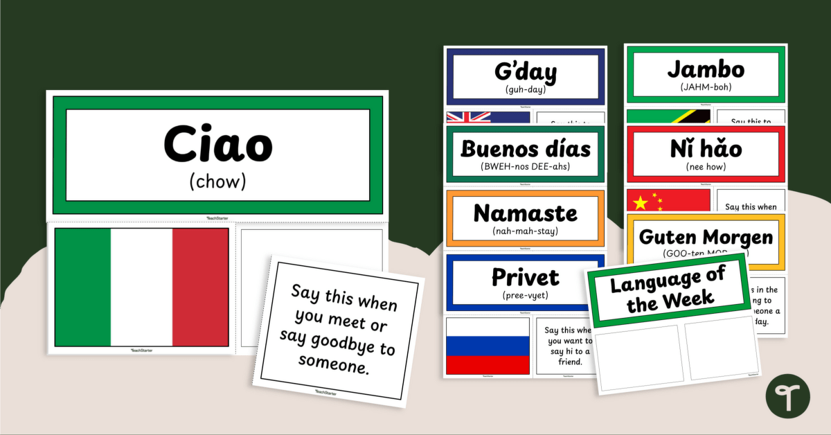 Greetings in Different Languages Wall Display teaching resource